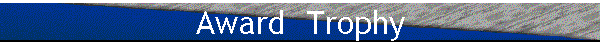 Award  Trophy
